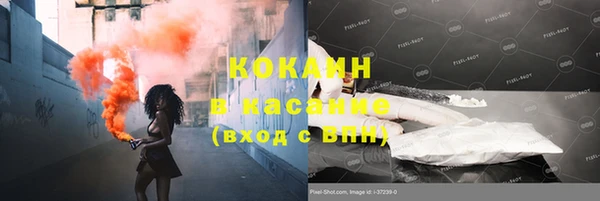 прущие грибы Навашино