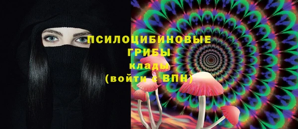 гидропоника Михайловка